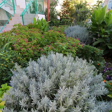 Angel アパート *