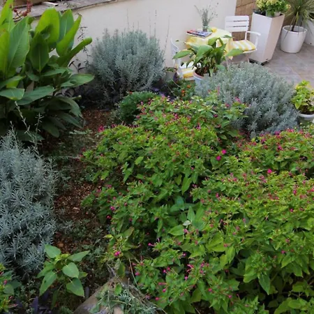 Angel アパート マカルスカ